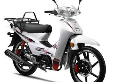 DAYTONA DY 125RS BUSINESS