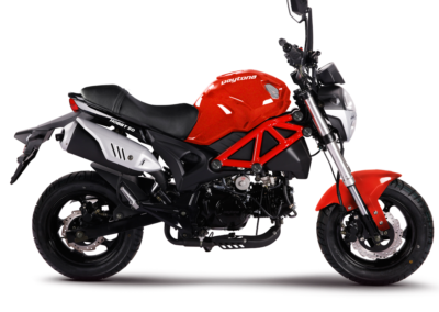 DAYTONA HOBBY 50 Εκδόσεις 25km/h – 45km/h